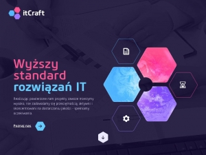 Profesjonalne oprogramowanie dla firm